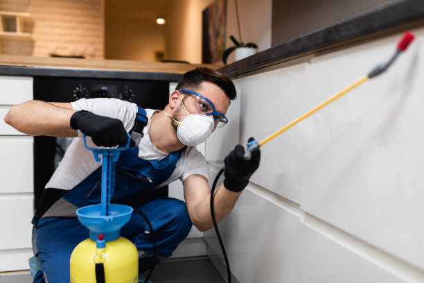 Best Rat Extermination Near Me  in Kilauea, HI