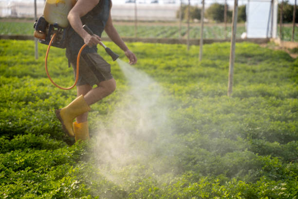 Best Emergency Pest Control  in Kilauea, HI