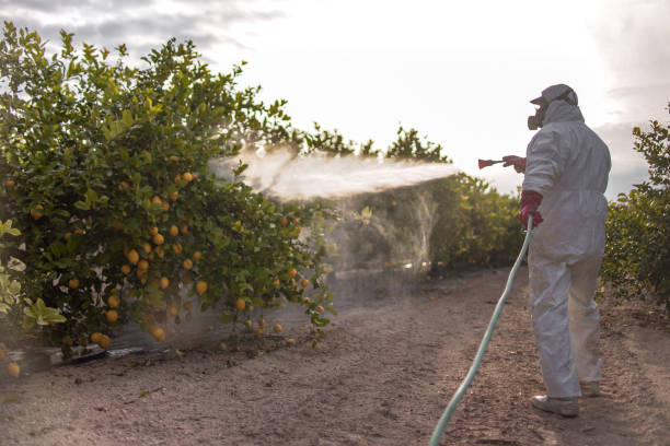 Best Best Pest Control Companies  in Kilauea, HI