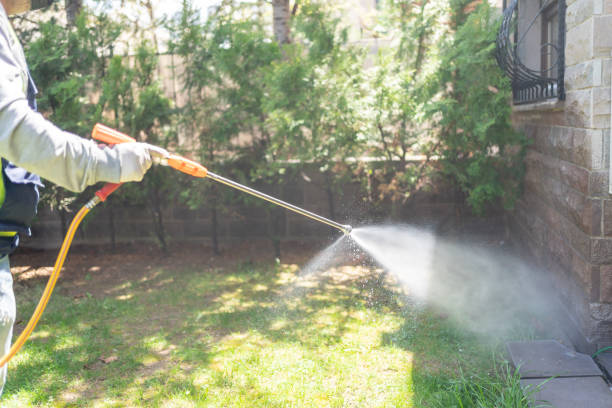 Best Affordable Pest Control Services  in Kilauea, HI