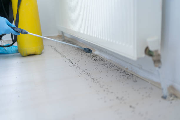 Best Residential Pest Control  in Kilauea, HI
